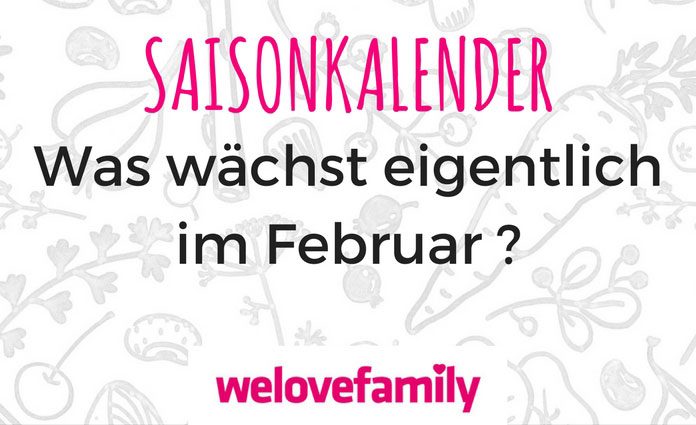 saisonkalender-februar saisonkalender-februar