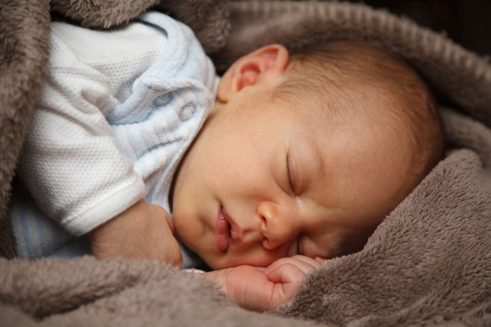 pixabay-adorable-21998_1920