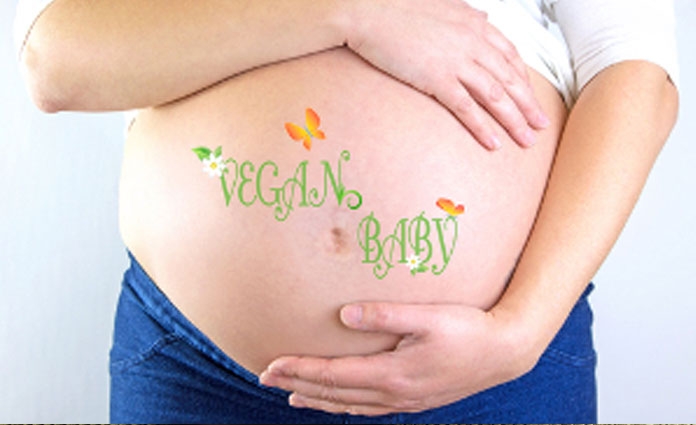 Vegane-Ernährung-in-Schwang 240106744 Schwangere zeigt Baby Bauch