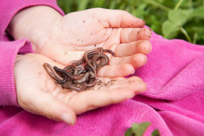 15-gefährliche-dinge-kind 62187385 Kind hält Regenwürmer in der Hand