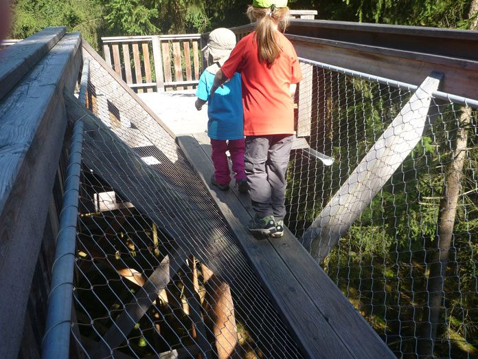 baumkronenweg-3