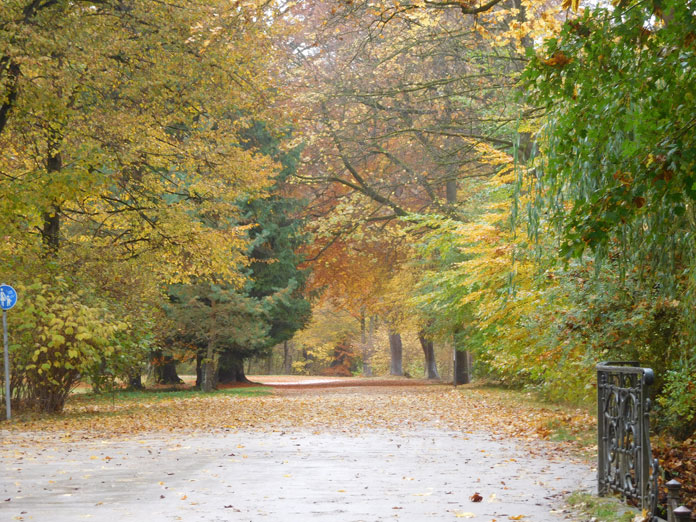 herbst-muenchen