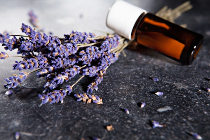 01_ätherischeÖle_Lavendel-497802976 ätherische Öle Lavendel