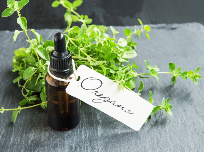 02_ätherischeÖle_Oregano ätherische Öle Oregano