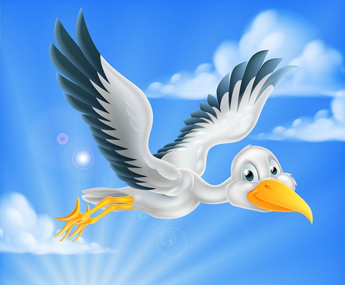 GNG - 0107_shutterstock ID 398845003