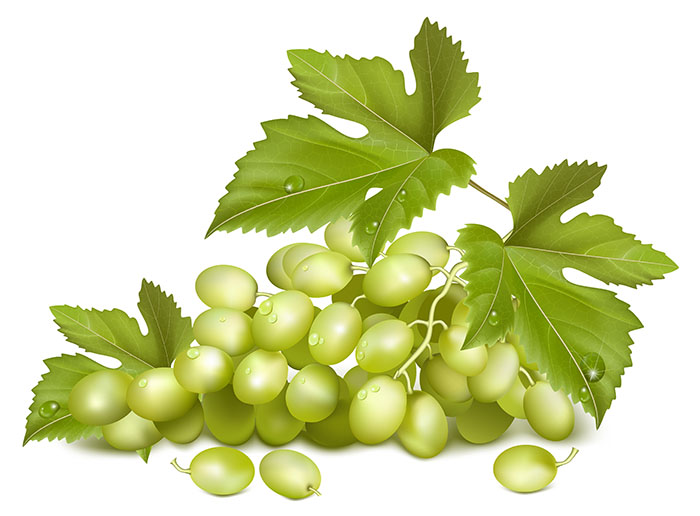 Warum sind Weintrauben grün? - welovefamily.at