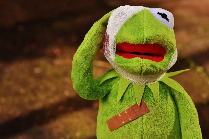 Pixabay-Kermit Pixabay 1767617